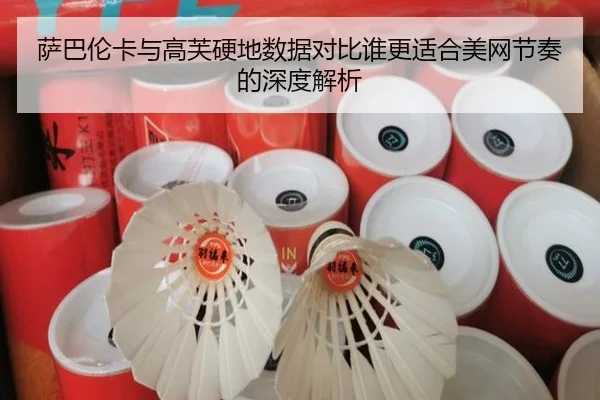 萨巴伦卡与高芙硬地数据对比谁更适合美网节奏的深度解析