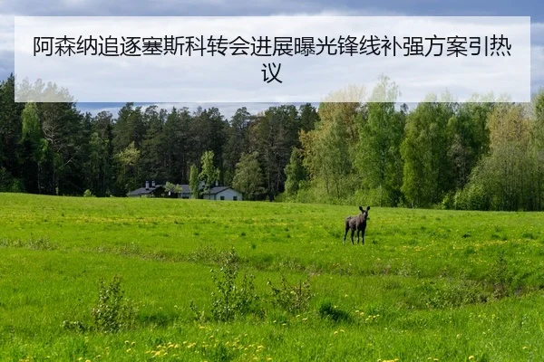 阿森纳追逐塞斯科转会进展曝光锋线补强方案引热议