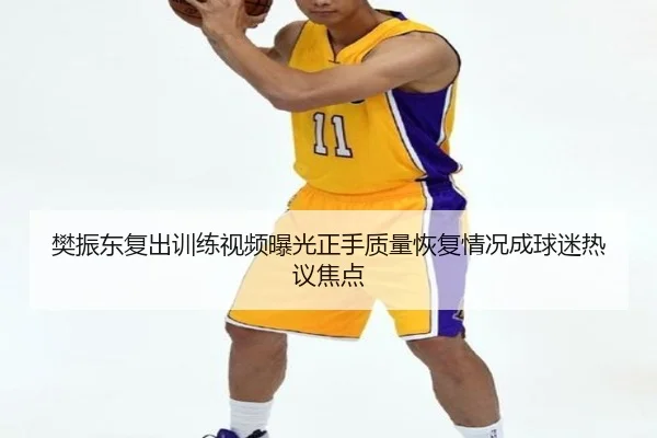 樊振东复出训练视频曝光正手质量恢复情况成球迷热议焦点