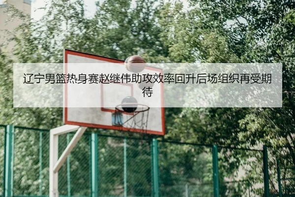 辽宁男篮热身赛赵继伟助攻效率回升后场组织再受期待